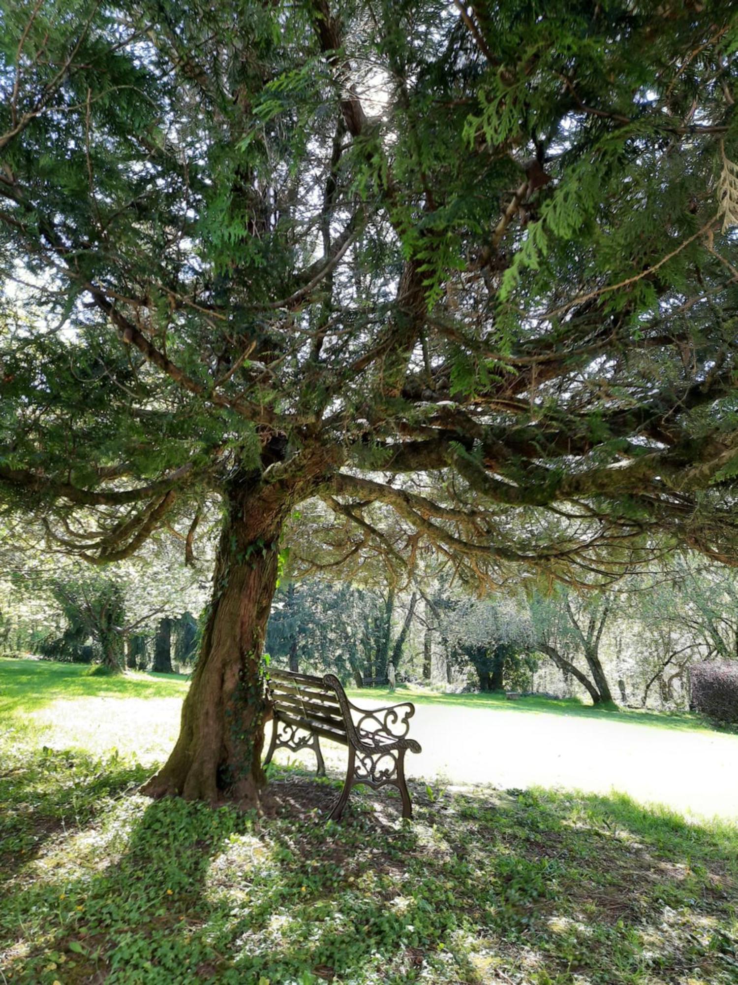 Manoir XV Domaine De Peyrafort Tulle Zewnętrze zdjęcie